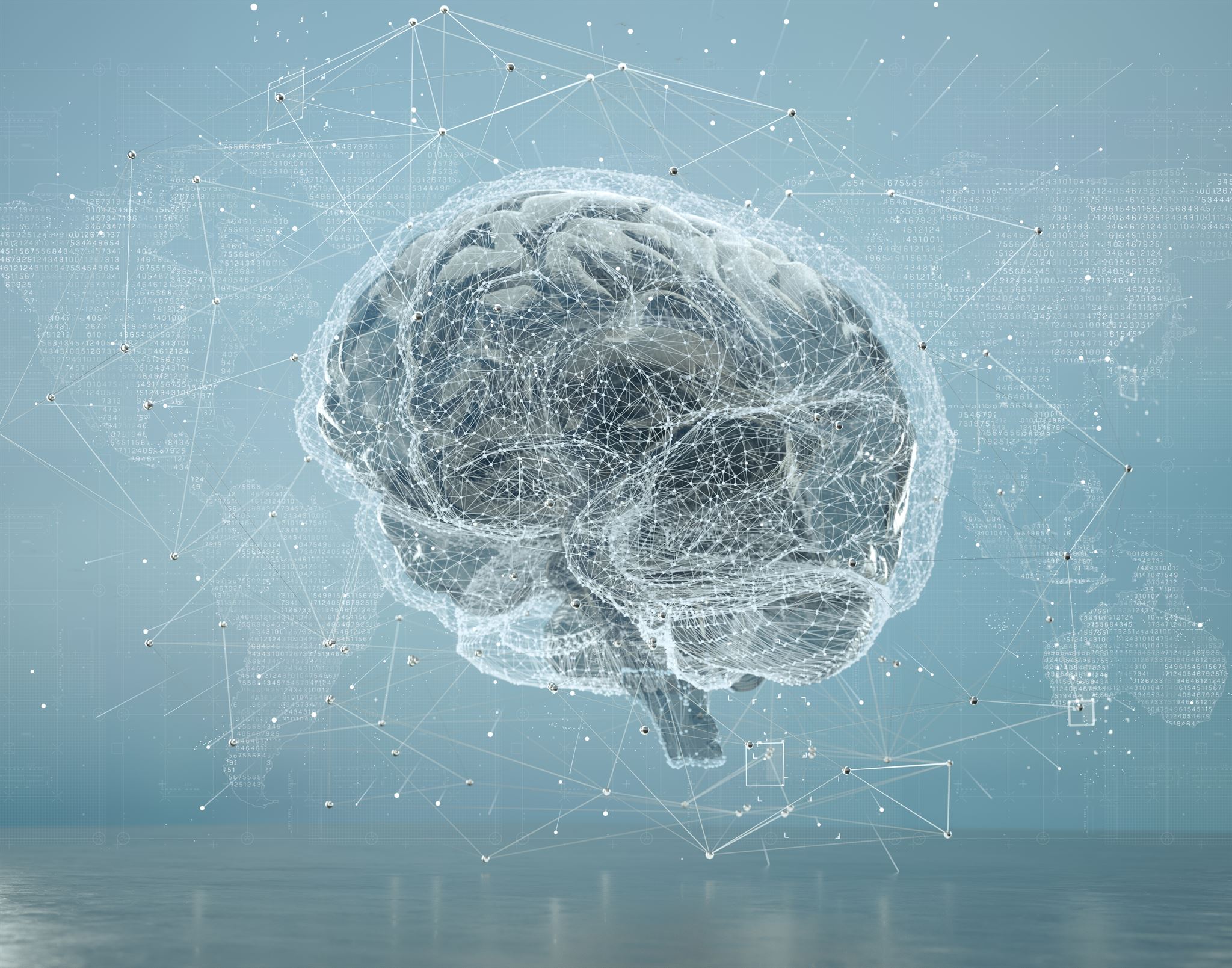 Digital brain with network connections